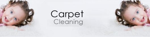 Search For The Perfect Carpet Cleaner In Newcastle